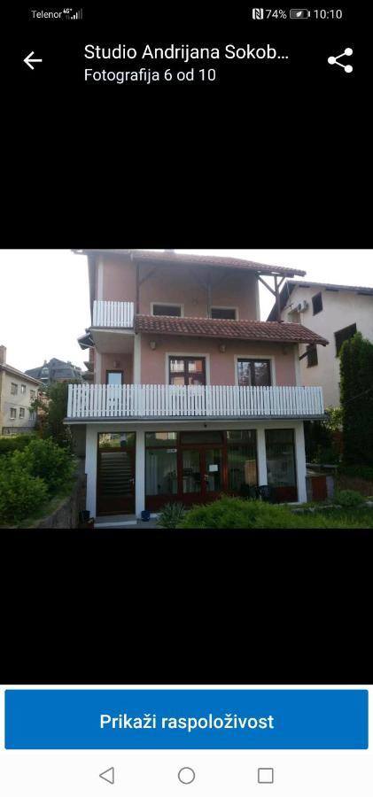 Apartman Andrijana 1 Soko Banja Dış mekan fotoğraf